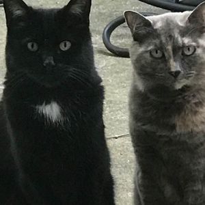 Meet your Posher, Peg